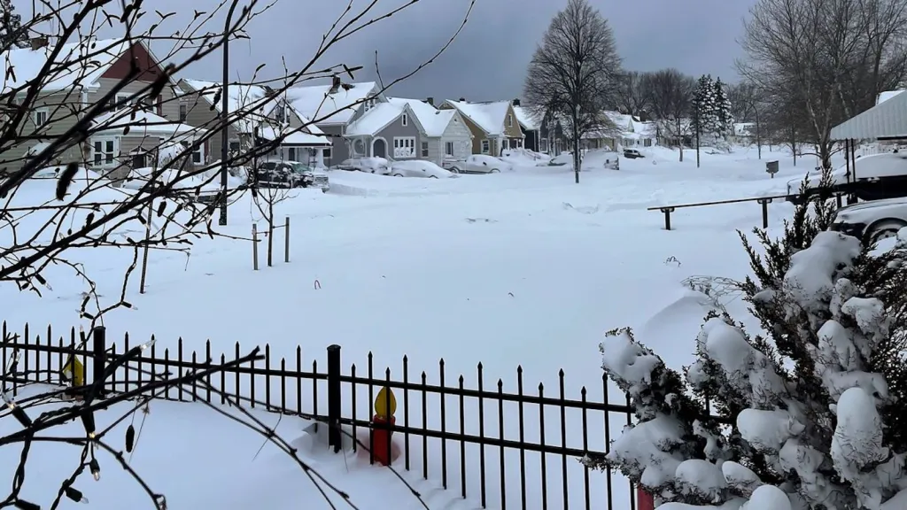 Tormenta Invernal Deja Decenas De Muertos En Estados Unidos Periodico